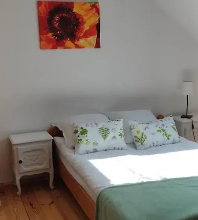 Apartment Niedzwiedziowka *